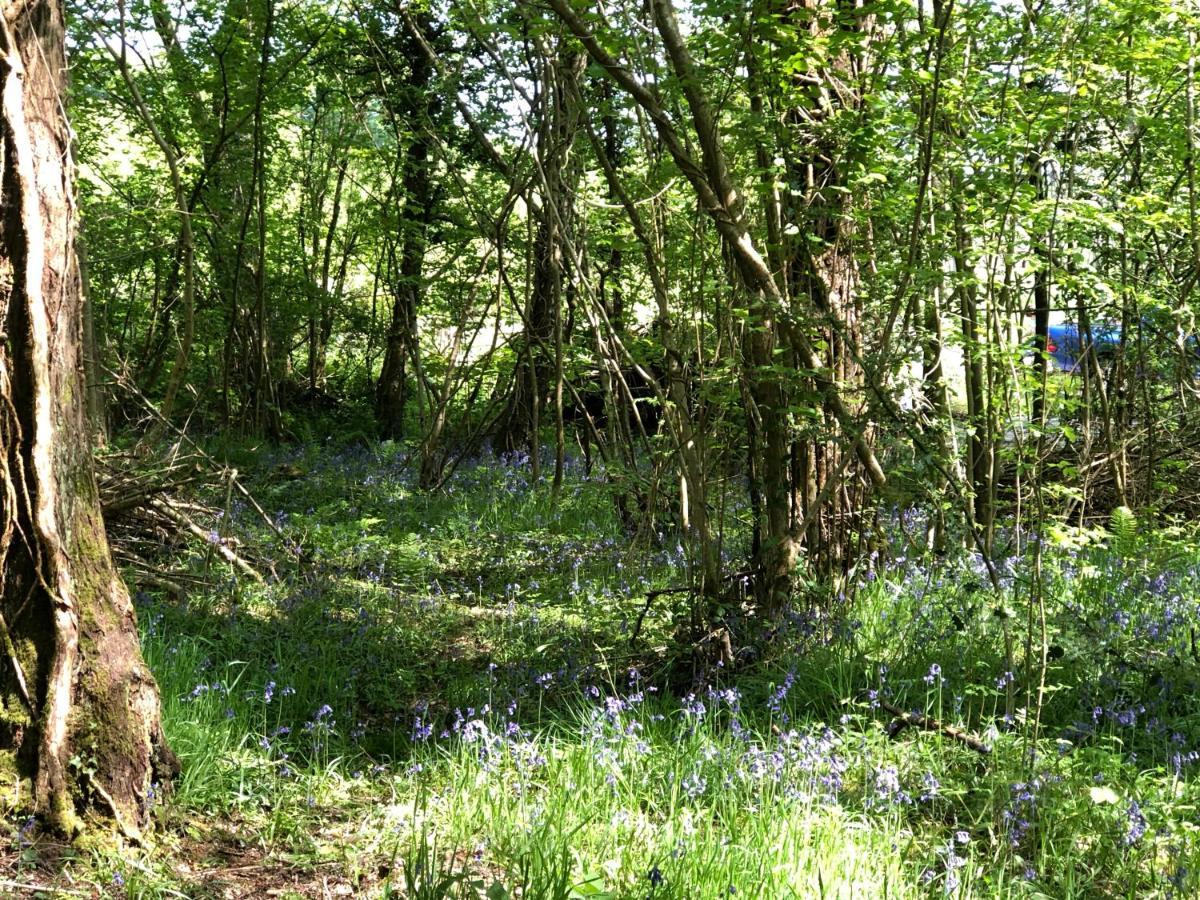Вилла Coed Y Marchog Woodland Retreat Херефорд Экстерьер фото