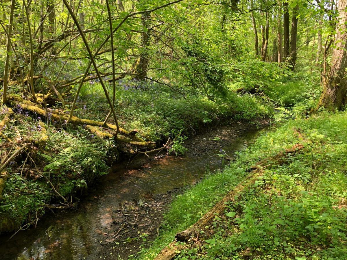Вилла Coed Y Marchog Woodland Retreat Херефорд Экстерьер фото