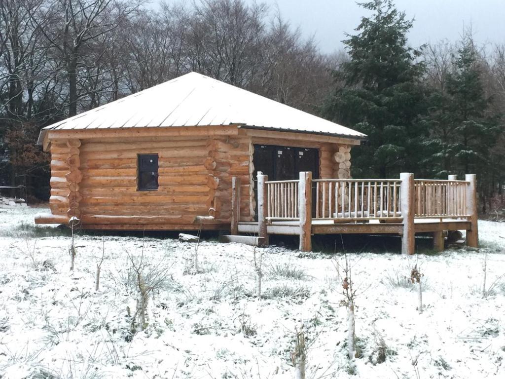 Вилла Coed Y Marchog Woodland Retreat Херефорд Экстерьер фото